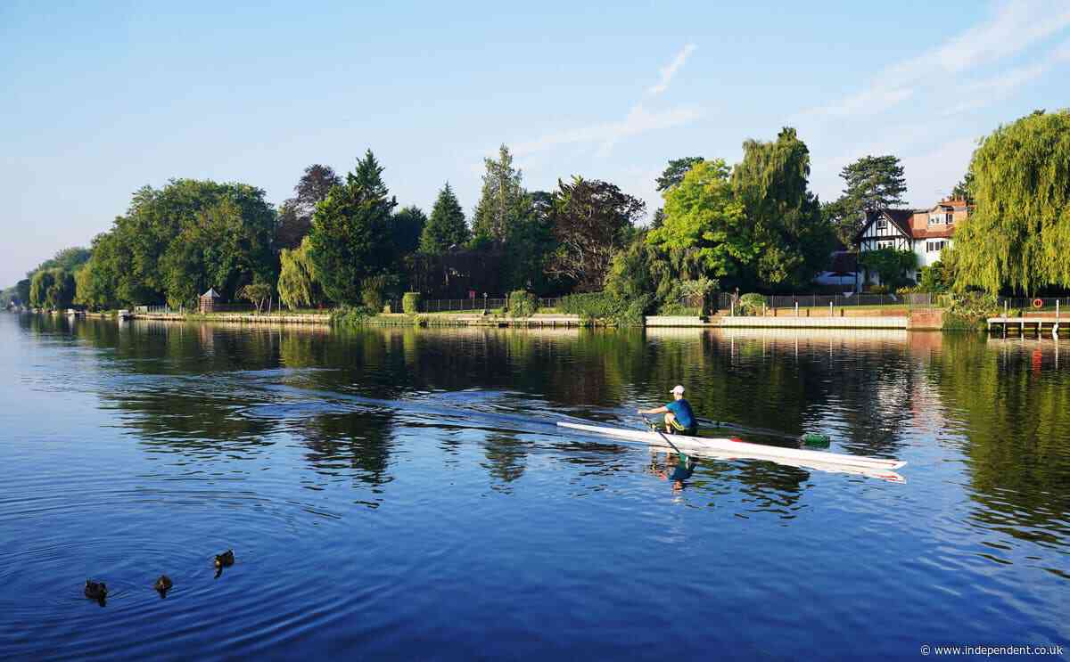 Thames swimming race dating back to 19th century cancelled over sewage