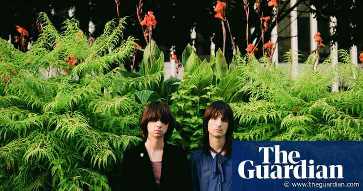 ‘Who wants to stare at a computer?’ Pop duo the Lemon Twigs on the joys of analogue life