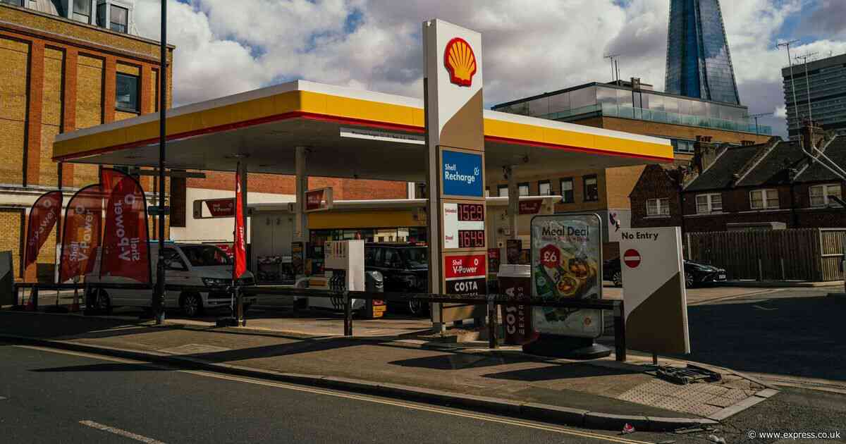 Oil giant Shell to splash out on shareholder paydays despite falling profits