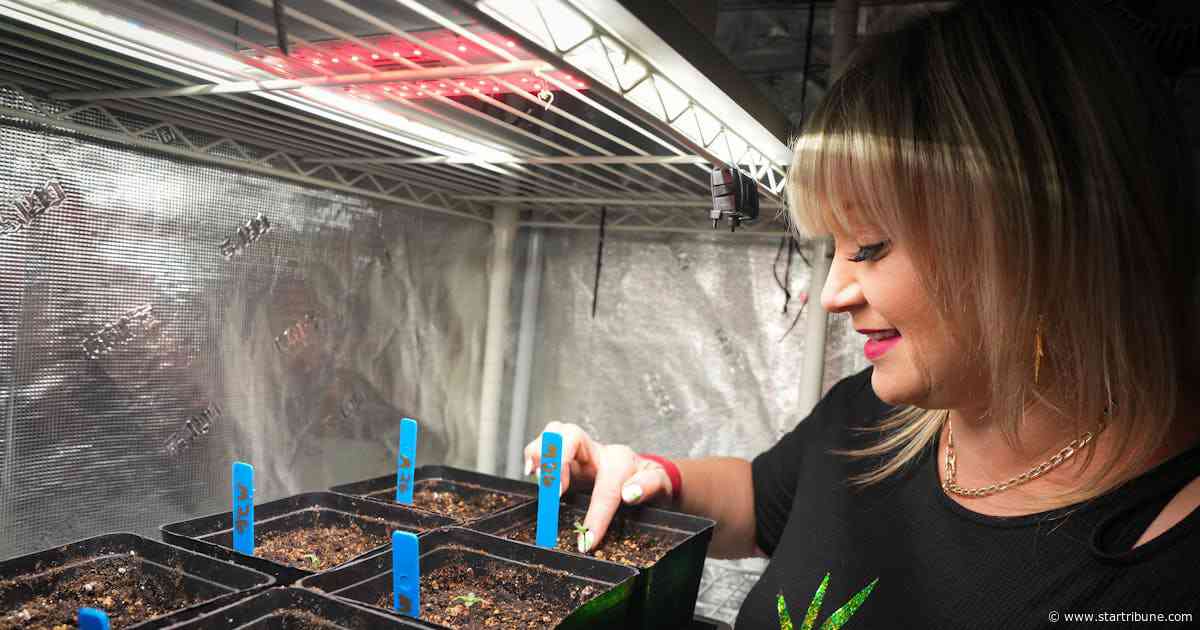Minnesota hemp businesses feeling burned by Lucky Leaf cannabis expo organizers