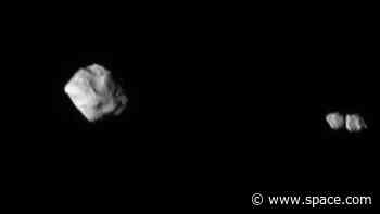Curious asteroid Selam, spotted by NASA's Lucy spacecraft, is a cosmic toddler