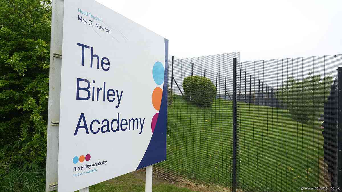 Boy, 17, is charged after child and two staff members were injured in 'incident involving sharp object' at Sheffield secondary school