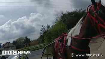 Warning for horse and trap rider seen on main road