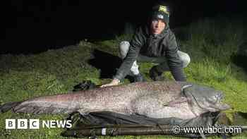 Amateur angler lands UK's 'biggest fish'