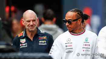 Bald zusammen bei Ferrari?: Hamilton kommentiert "sehr aufregende" Gerüchte um Newey