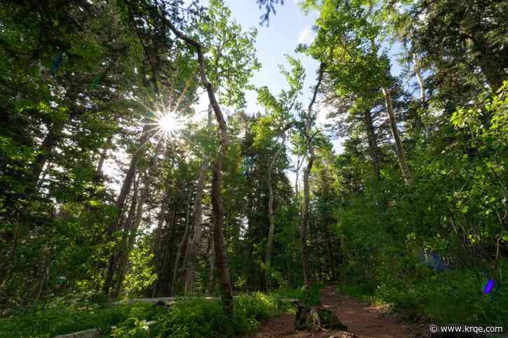 Comment period extended for Cibola National Forest project