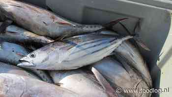 Duurzame tonijn op Wereld Tonijn Dag