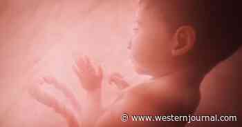 Tenn. Passes 'Baby Olivia Act' Requiring Public Schools to Show Students Unborn Babies' Development