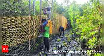 Polling booths in tiger territory get fresh net cover in Sundarbans