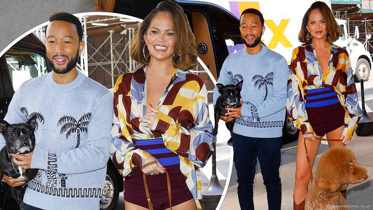 Chrissy Teigen and John Legend put on a stylish display as step out in NYC with their pooches after launching dog food brand Kismet