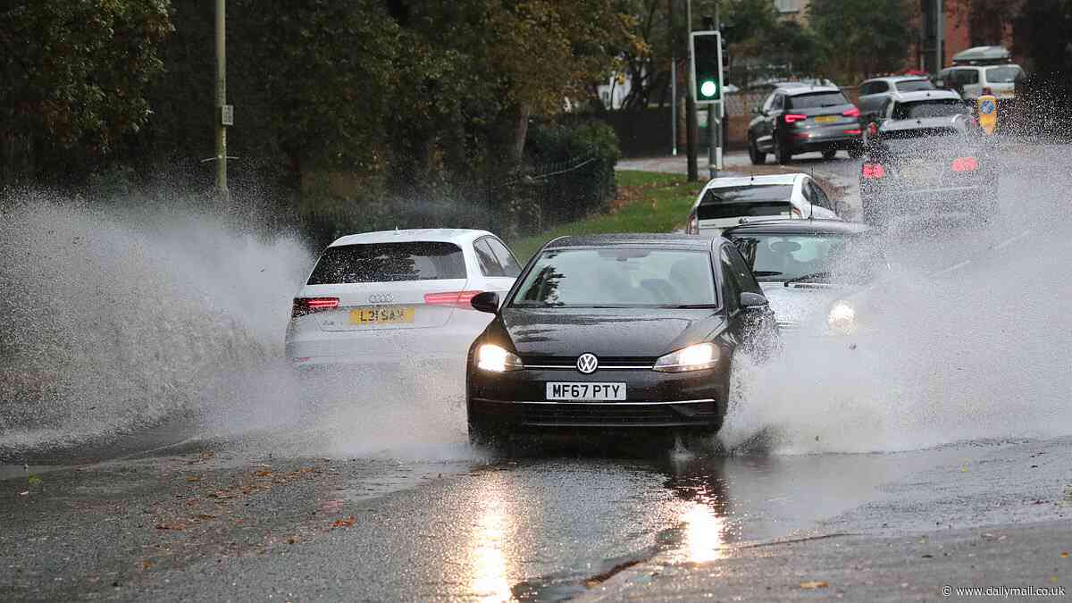 More than 16 million Brits are splashed by passing cars... but only one driver is prosecuted