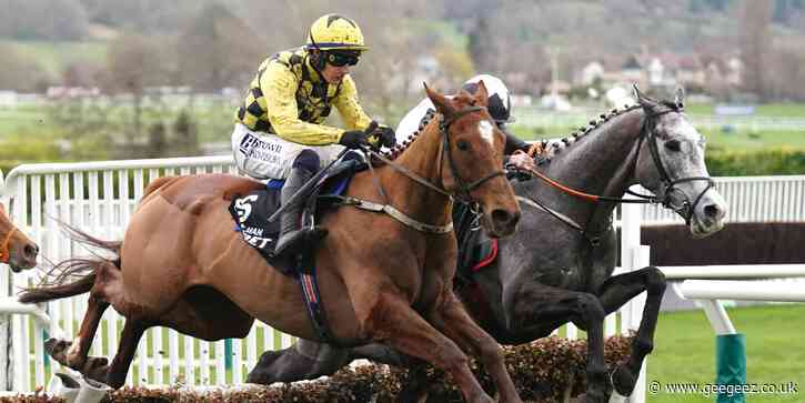 State Man targets unblemished season with Boodles Champion Hurdle success