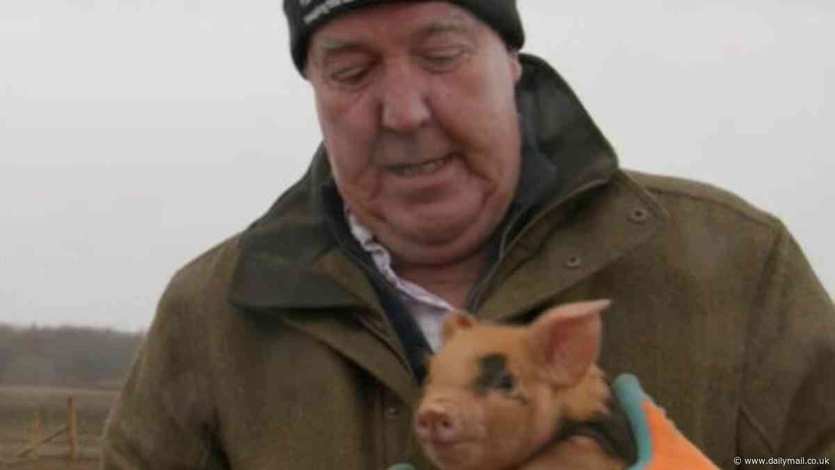 'Look at you!': Adorable moment Jeremy Clarkson squeals with delight and cuddles piglets as he welcomes the baby pigs to his farm in third series of Amazon show