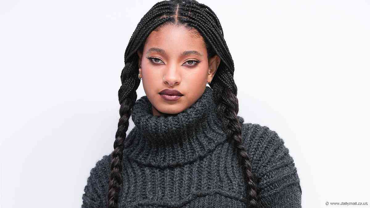 Willow Smith admits that she has 'a little bit of insecurity' about being branded a 'nepo baby' but adds now she 'doesn't have to prove s**t to anyone'