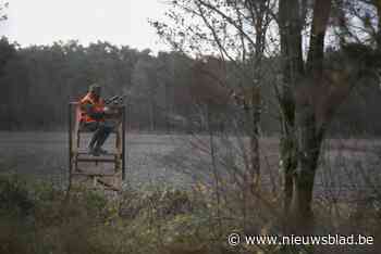 Waarom Limburg ruim 2.600 hectare aan jachtgebied wint: “Soort van verzekering”