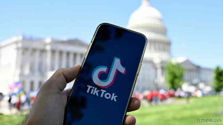 House panel requests FTC investigate if TikTok violated child protection act