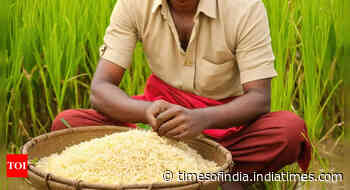 With 534 lakh tonnes, FCI rice stocks now at 4 times buffer requirement