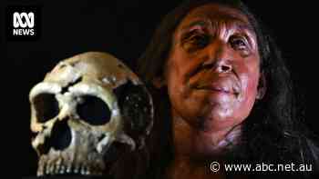 Archaeologists reveal reconstructed face of 75,000yo Neanderthal woman