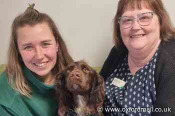 Abingdon's Boundary Vets recognised for quality of dog care
