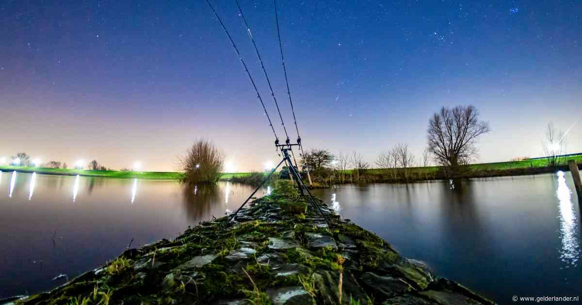 Arnhem wil meest diervriendelijke gemeente van Nederland zijn: ‘Sportvissen brengt onnodig leed toe’