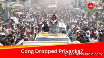 Why Congress Did Not Give Lok Sabha Ticket To Priyanka Gandhi, Robert Vadra?