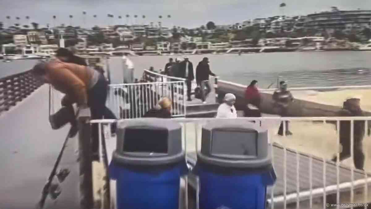 Moment boatload of migrants sprint off a YACHT after sneaking into America via sea