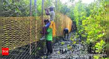 Villages in tiger territory get fresh net cover to avert polling-day intrusion by big cats
