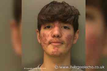 Teen drug dealer screams 'I'm going to f****** get you' after stabbing boy