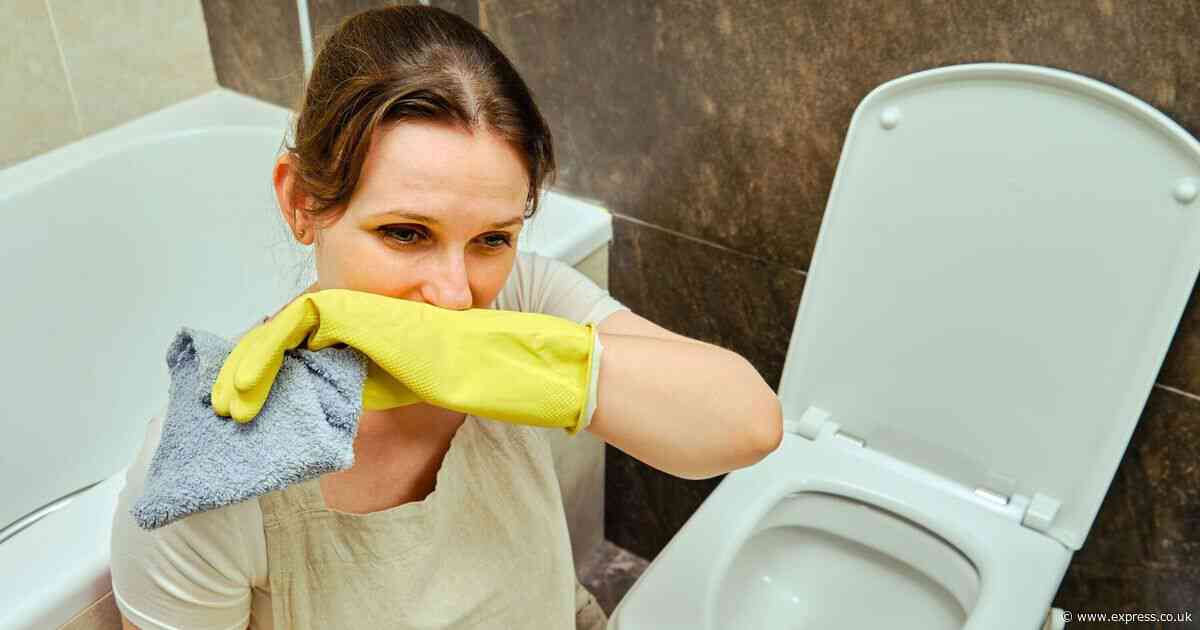 Ditch bleach for ‘only thing that works’ to banish urine smells from toilets that's 99p