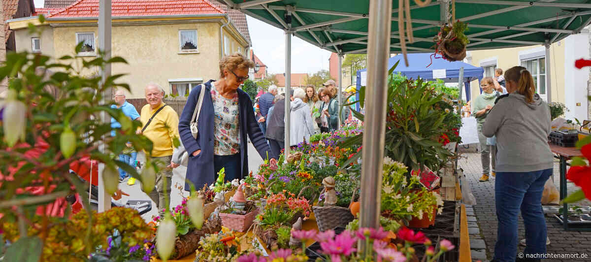 Frühlingsmarkt in Baunach: Bummeln, Shoppen und Genießen