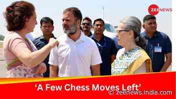`Experienced Player Of Chess`: Congress Leaders Defend Rahul Gandhi`s Rae Bareli Bid; Hint At Bypoll Contest For Priyanka