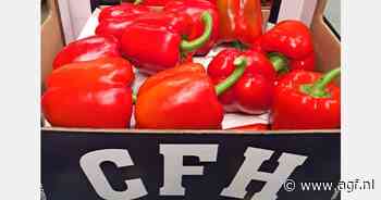 "Stabiele prijzen en uitstekende kwaliteit Spaanse paprika's"
