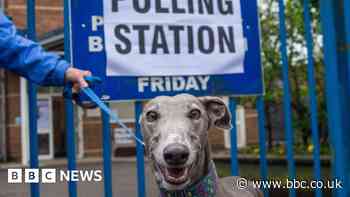 In Pictures: Dogs at polling stations