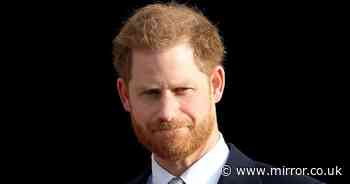 Prince Harry urged 'Archie and Lilibet could be key to ending Royal Family rift'