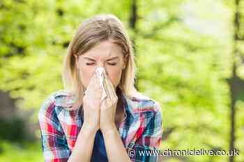 Six natural ways to deal with hay fever symptoms - you may already have these items in your kitchen