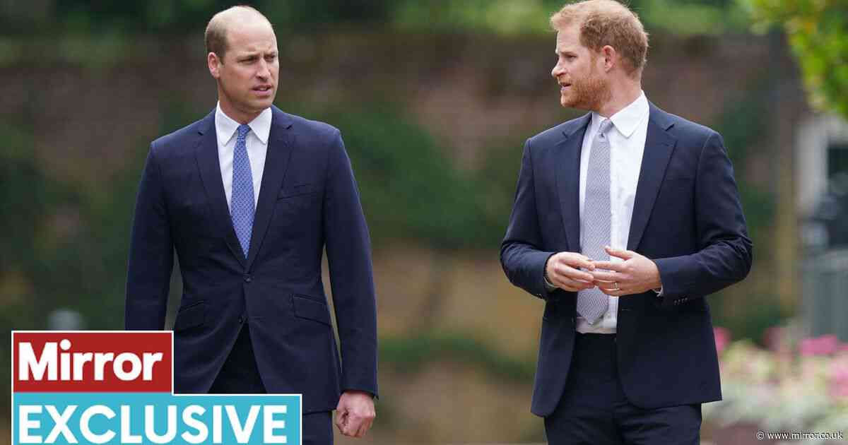 Prince Harry's 'globe-trotting freedom sparks jealousy in William that may sour reunion'