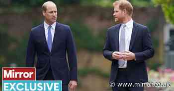 Prince Harry's 'globe-trotting freedom sparks jealousy in William that may sour reunion'