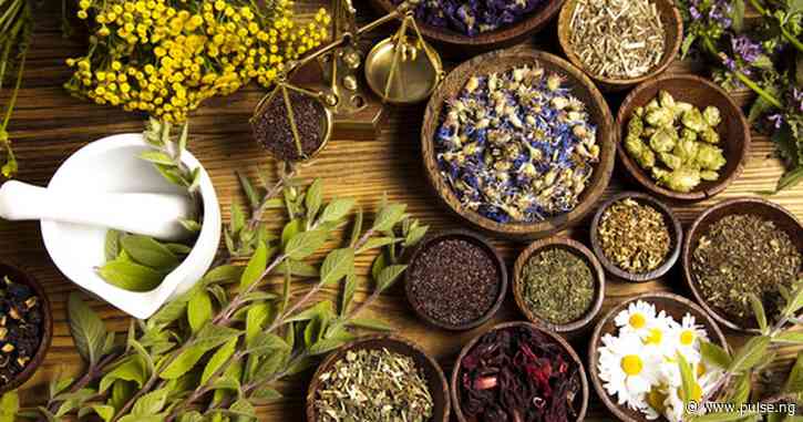 Herbal medicine is the assured solution as ailments resist orthodox drugs