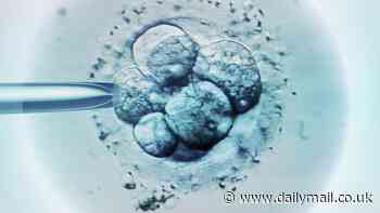 IVF babies at greater risk of leukaemia, study finds - but experts claim older, 'less fit' parents could be to blame