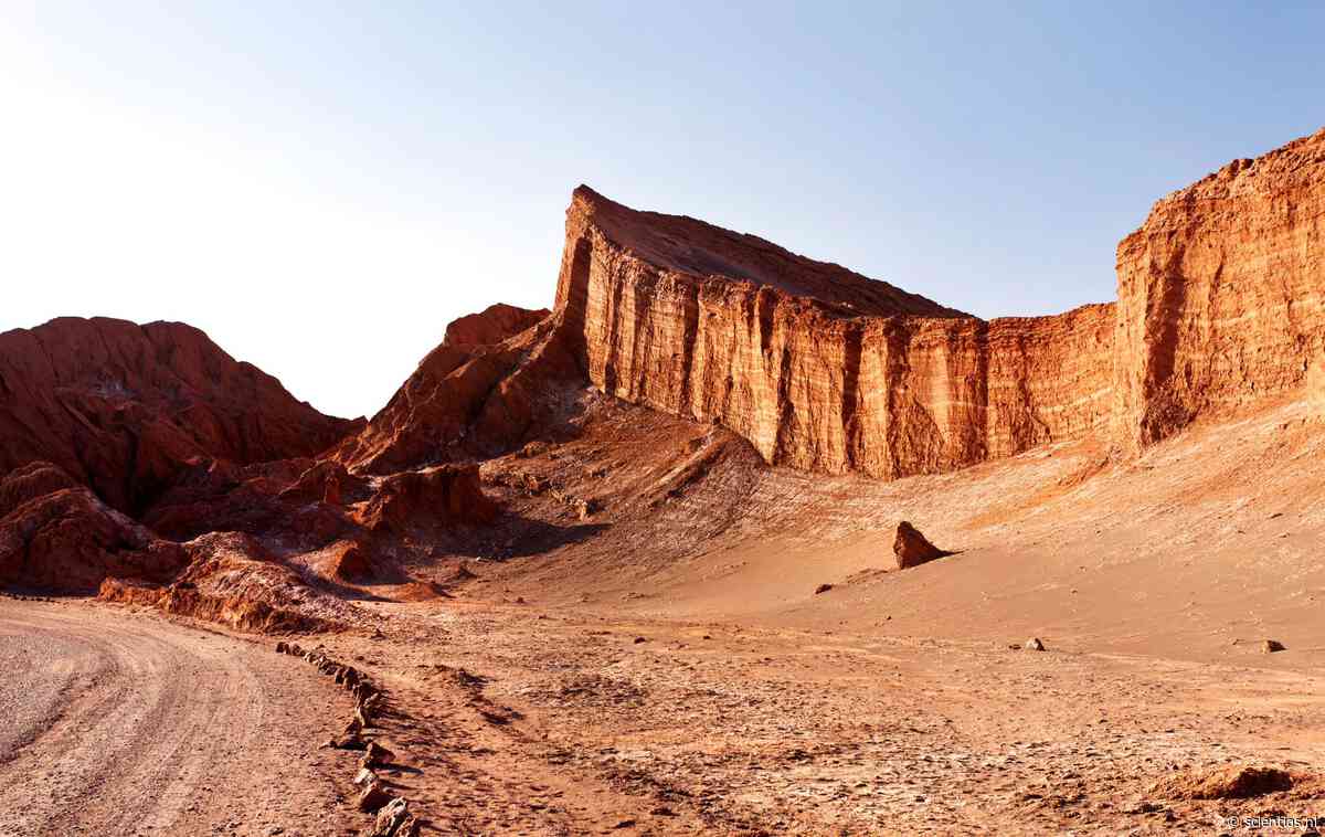 Wetenschappers ontdekken leven onder de droogste woestijn op aarde