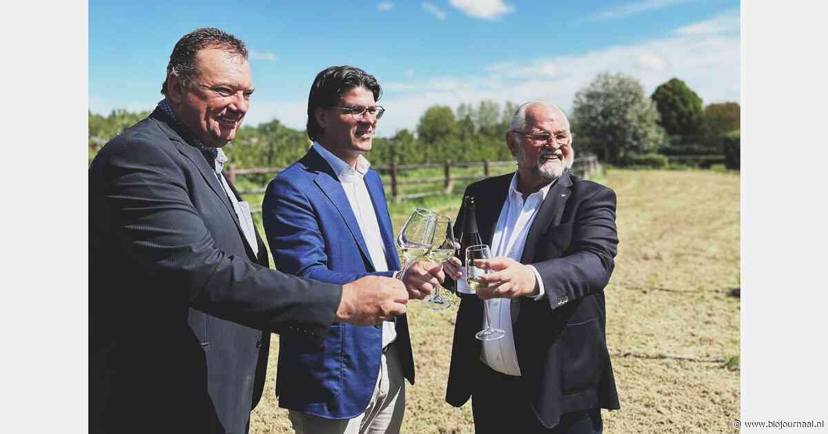 Vlaams kasteel lanceert op Vaderdag eerste mousserende bio-wijn
