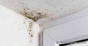 Mrs Hinch fans 'swear by' 10-minute trick for lifting stubborn bathroom ceiling mould