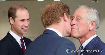 Prince Harry's reunion with William 'now in question' but meeting with King Charles 'still likely'