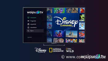 Disney-Inhalte gibt es künftig auch bei Waipu