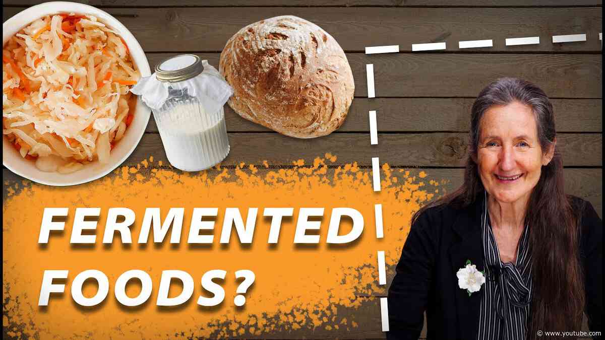 Are Fermented or Cultured Foods Good for Us? - Barbara O'Neill