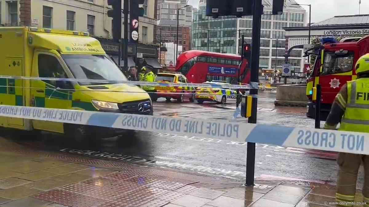 Woman fights for life after being hit by double-decker bus outside London Victoria station at same junction where two people have been knocked down and killed in three years
