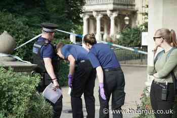 Brighton: Woman raped in Pavilion Gardens, Sussex Police report