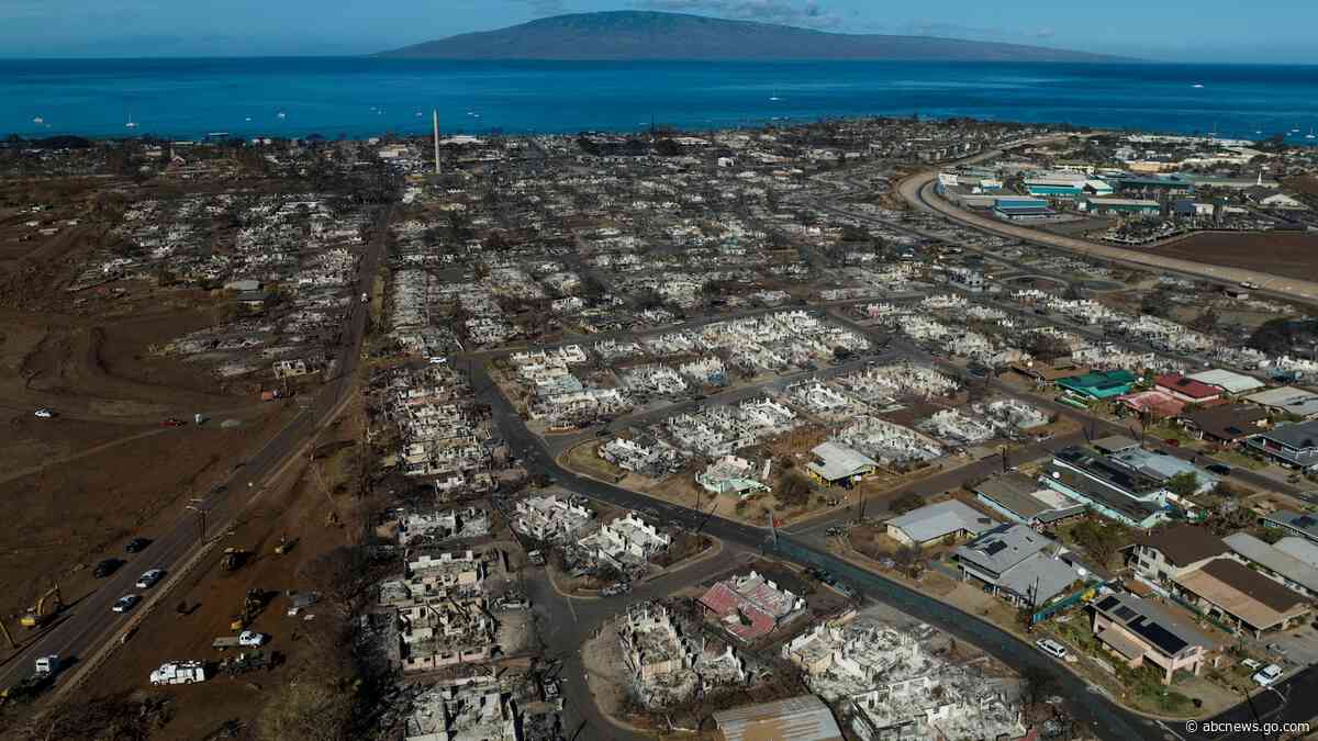 Maui sues cell carriers over wildfire warning alerts that were never received during service outages