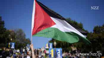 DATENANALYSE - Wie sich Pro-Palästina-Demos an US-Universitäten ausbreiten