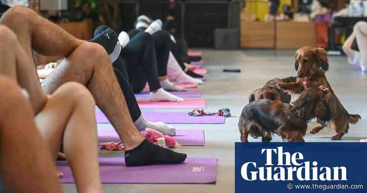 Italy bans ‘puppy yoga’ after reports of alleged mistreatment